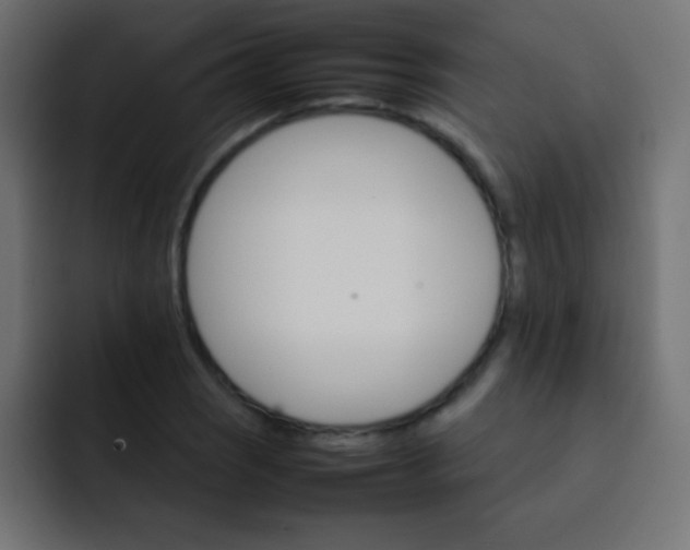 X0000092071121200710031113