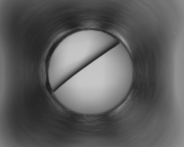 X0000092071123200710031113