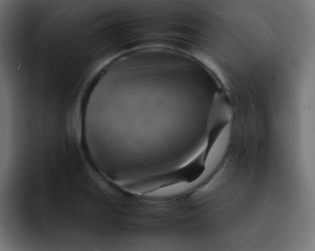 X0000092071127200710031114