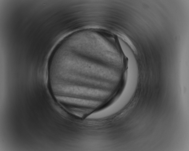 X0000092071132200710031114