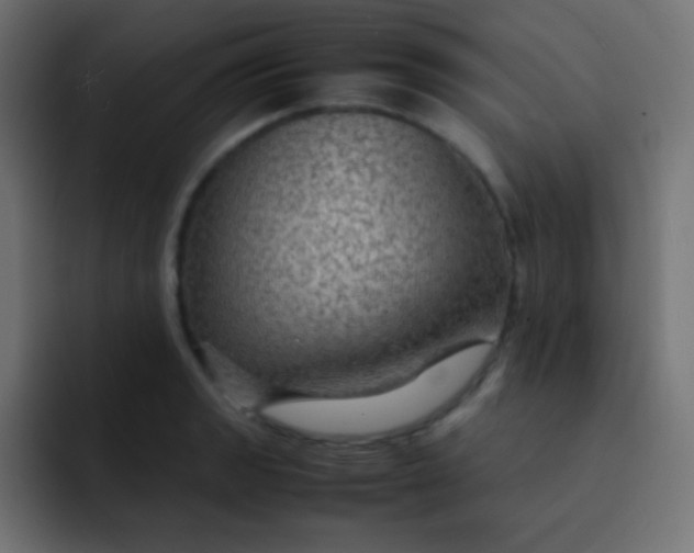 X0000092071133200710031114
