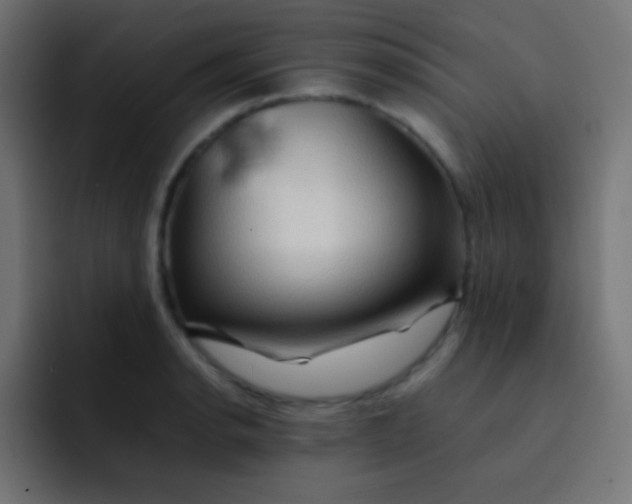 X0000092071134200710031114