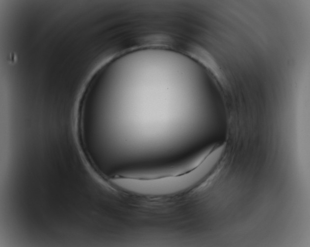 X0000092071135200710031114