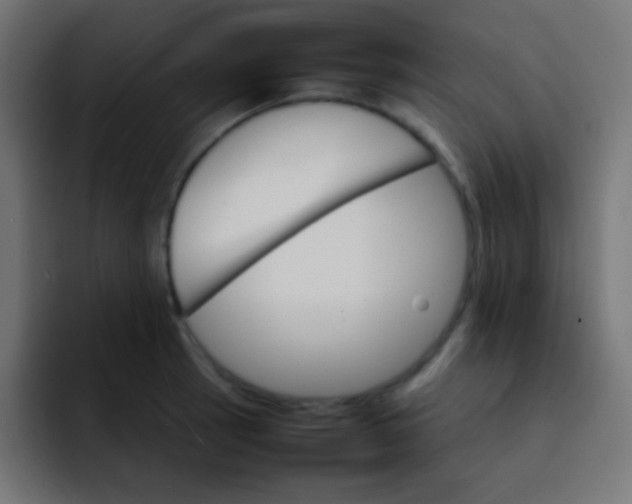 X0000092071137200710031114