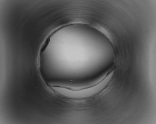 X0000092071140200710031114