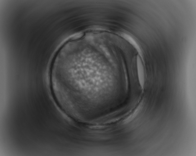 X0000092071141200710031114
