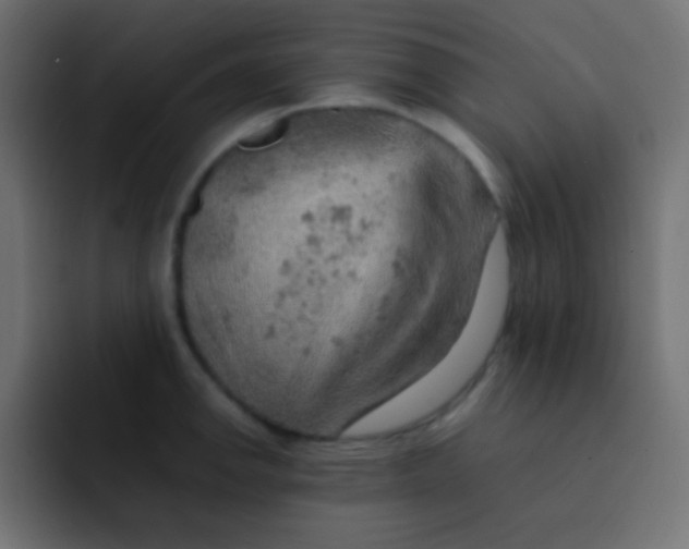X0000092071142200710031114