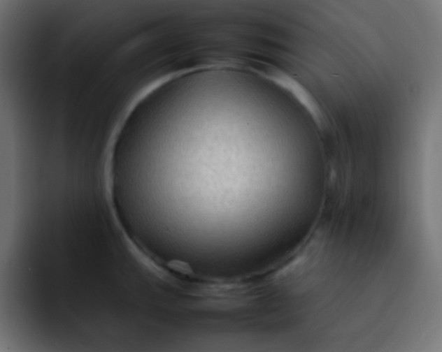 X0000092071143200710031114
