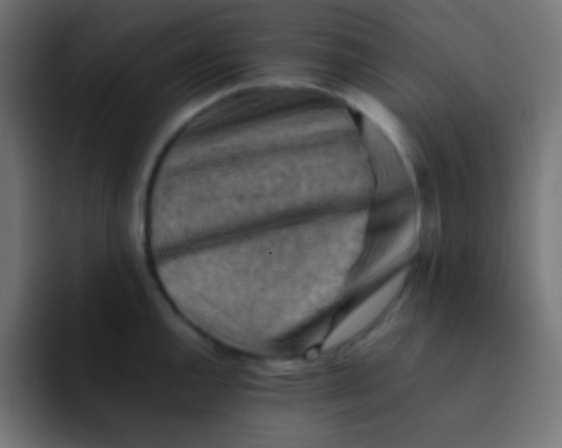 X0000092071144200710031114