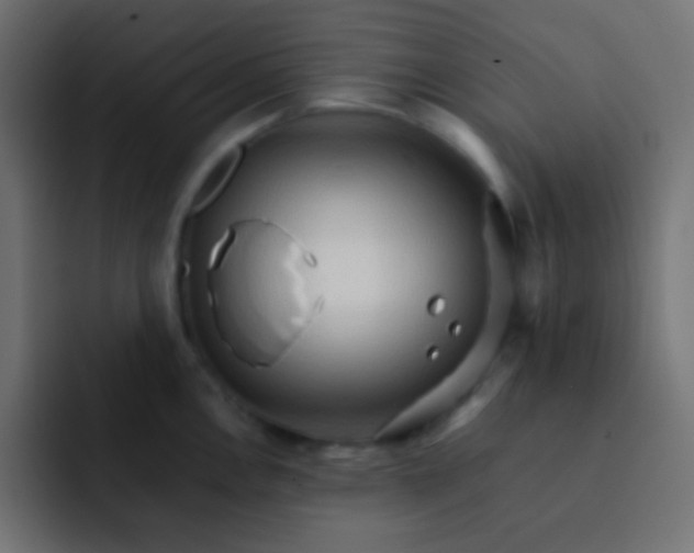 X0000092071146200710031114