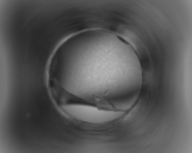 X0000092071151200710031114