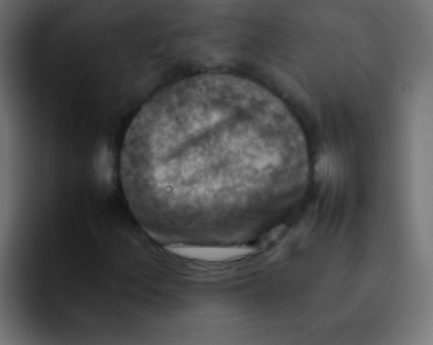 X0000092071156200710031113