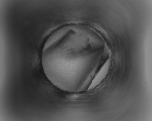 X0000092071160200710031113