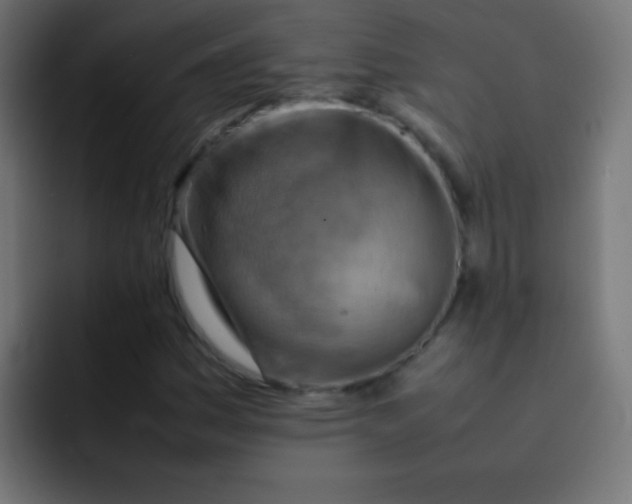 X0000092071161200710031113