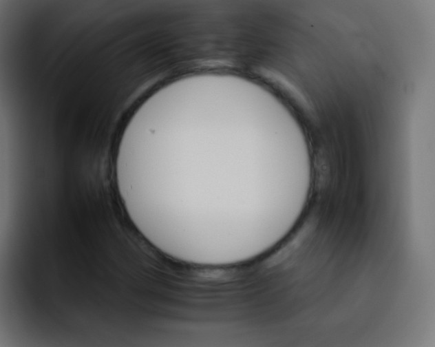 X0000092071162200710031113