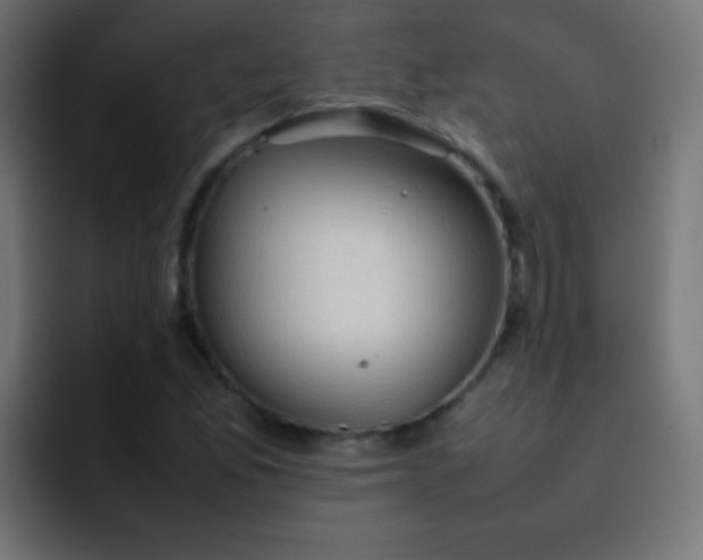 X0000092071165200710031113