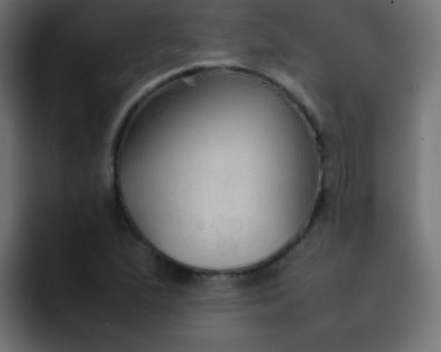 X0000092071167200710031113