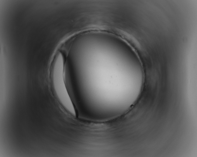 X0000092071168200710031113