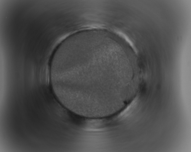 X0000092071171200710031113