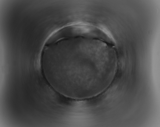 X0000092071173200710031113