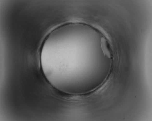 X0000092071175200710031113