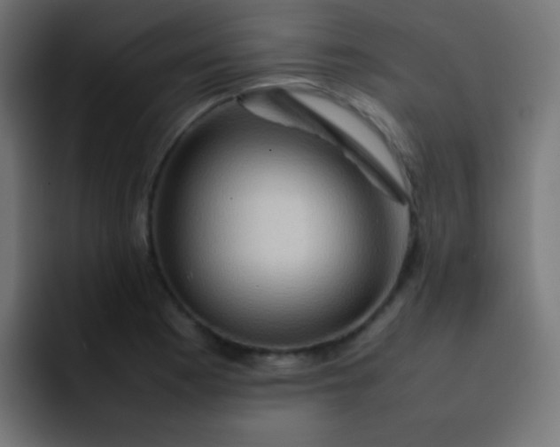X0000092071177200710031113