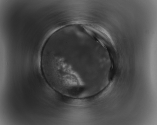 X0000092071179200710031113