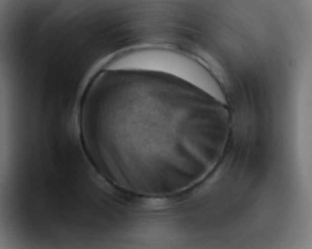 X0000092071180200710031113