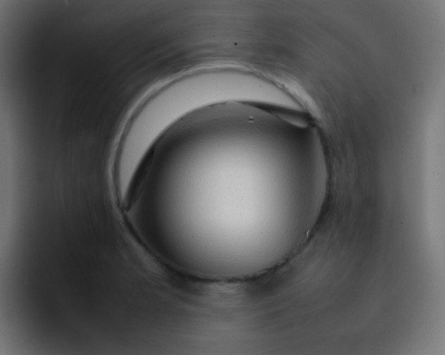 X0000092071181200710031113