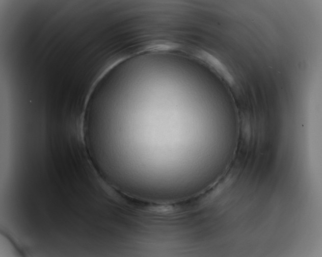 X0000092071186200710031113