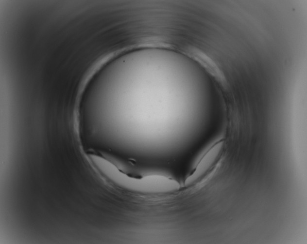 X0000092071188200710031113