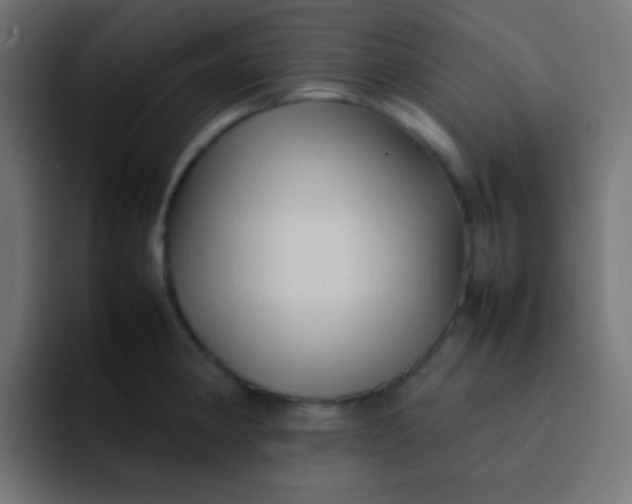 X0000092071190200710031113
