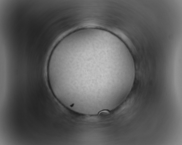 X0000092071191200710031113