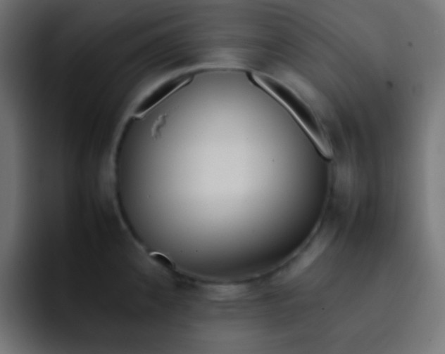 X0000092071192200710031113