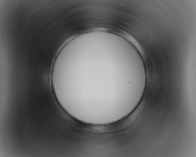 X0000092071194200710031113