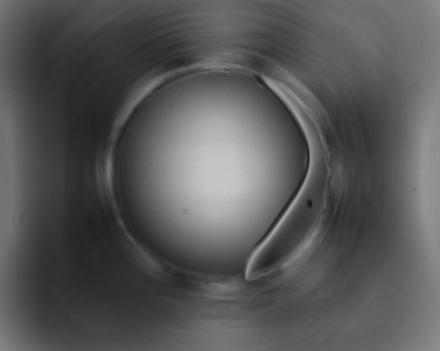 X0000092071196200710031113