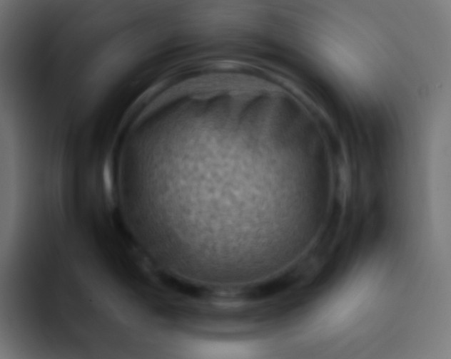 X0000092071198200710031113