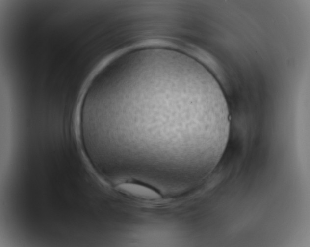 X0000092071199200710031113