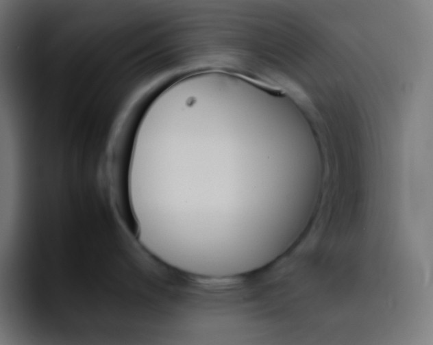 X0000092071200200710031113