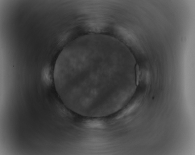 X0000092071202200710031112