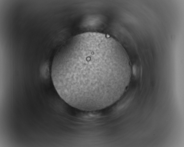 X0000092071203200710031112