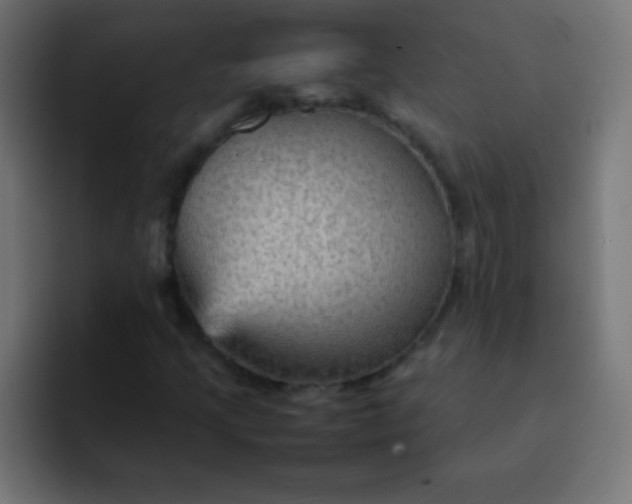 X0000092071205200710031112