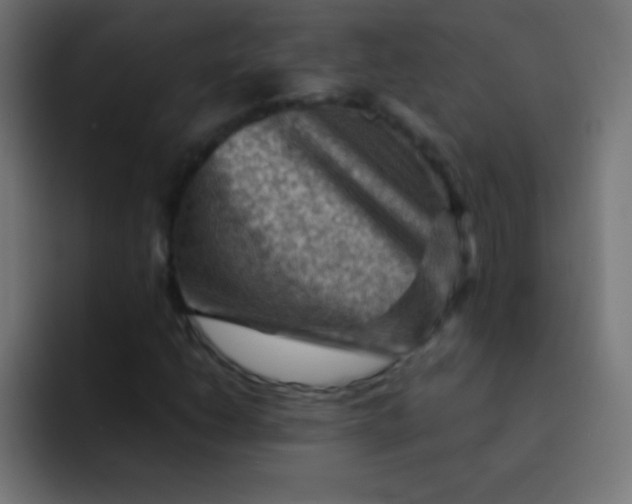 X0000092071206200710031112