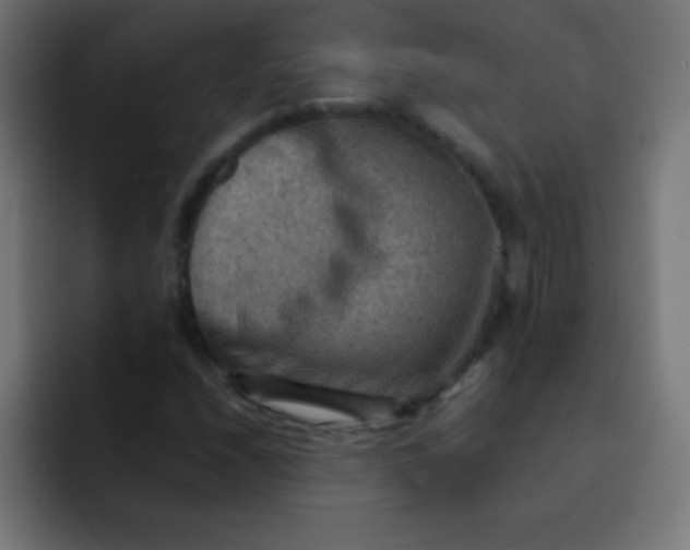 X0000092071208200710031112