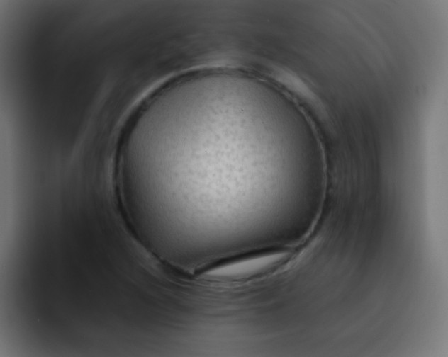 X0000092071216200710031112