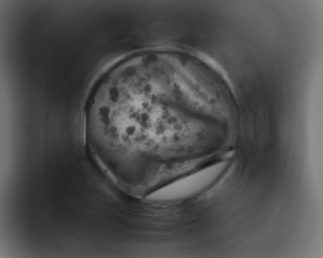 X0000092071223200710031112