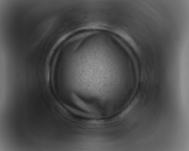 X0000092071224200710031112
