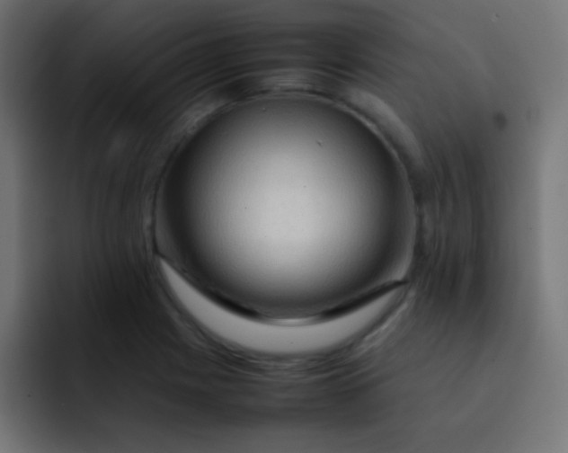 X0000092071225200710031112
