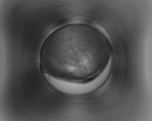 X0000092071226200710031112