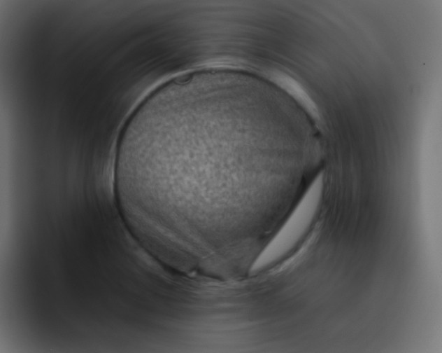 X0000092071228200710031112